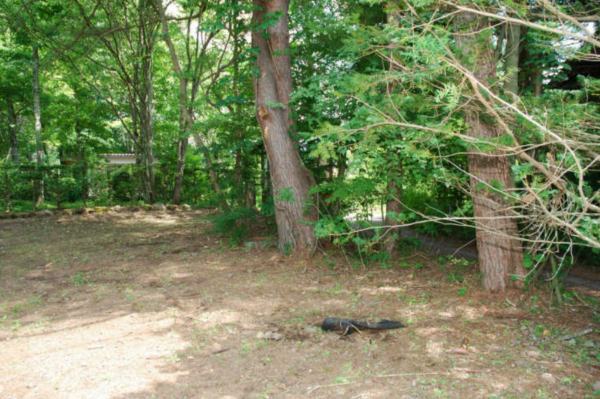 北佐久郡軽井沢町大字追分、土地の画像です