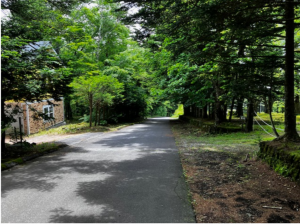 北佐久郡軽井沢町大字長倉、中古一戸建ての画像です