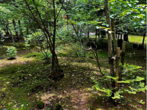 北佐久郡軽井沢町大字長倉、中古一戸建ての画像です