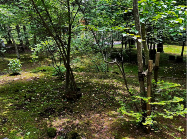 北佐久郡軽井沢町大字長倉、中古一戸建ての画像です