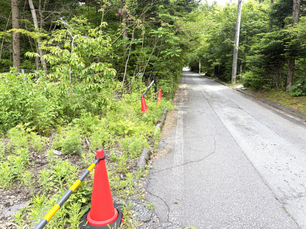 北佐久郡軽井沢町大字長倉大日向、土地の画像です
