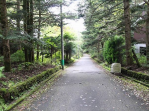 北佐久郡軽井沢町大字長倉、中古一戸建ての画像です