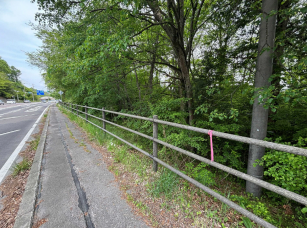 北佐久郡軽井沢町大字長倉、土地の画像です