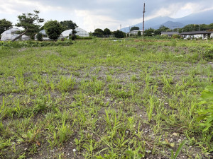 北佐久郡軽井沢町大字長倉、土地の画像です