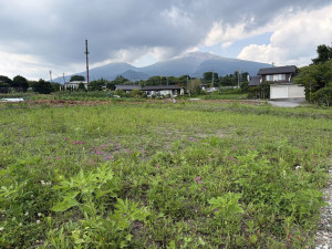 北佐久郡軽井沢町大字長倉、土地の画像です