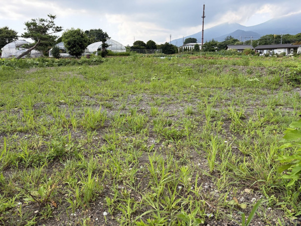 北佐久郡軽井沢町大字長倉、土地の画像です