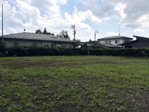 北佐久郡軽井沢町中軽井沢、土地の画像です