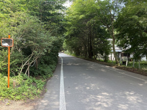 北佐久郡軽井沢町大字追分、土地の画像です