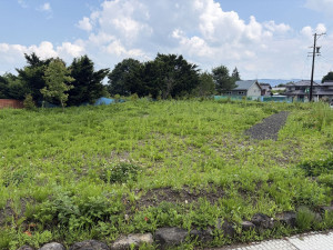 北佐久郡軽井沢町大字長倉、土地の画像です