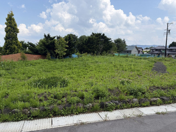 北佐久郡軽井沢町大字長倉、土地の画像です