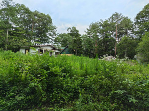 北佐久郡御代田町大字草越、土地の画像です