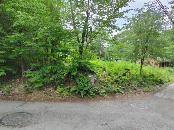 北佐久郡御代田町大字草越、土地の画像です