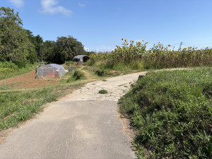 佐久市入澤、土地の画像です
