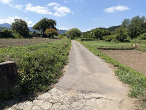 佐久市入澤、土地の画像です