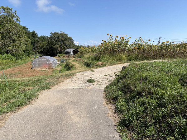 佐久市入澤、土地の画像です