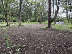 北佐久郡御代田町大字御代田、土地の画像です