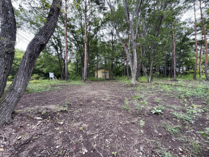 北佐久郡御代田町大字御代田、土地の画像です
