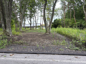北佐久郡御代田町大字御代田、土地の画像です