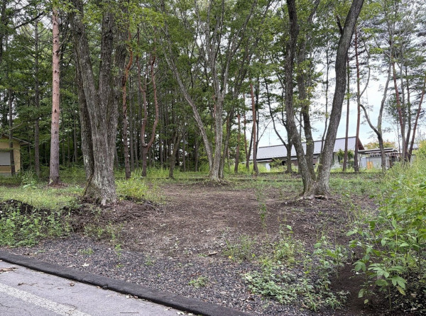 北佐久郡御代田町大字御代田、土地の画像です