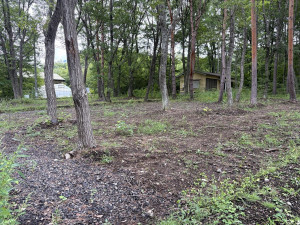 北佐久郡御代田町大字御代田、土地の画像です
