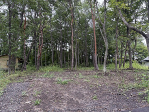 北佐久郡御代田町大字御代田、土地の画像です