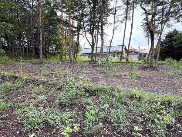 北佐久郡御代田町大字御代田、土地の画像です