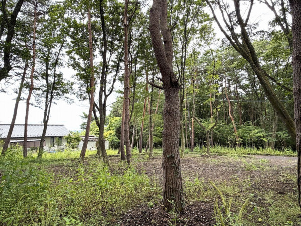 北佐久郡御代田町大字御代田、土地の画像です