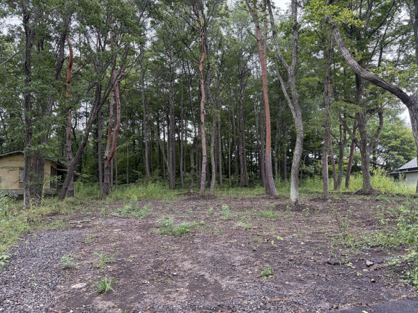 北佐久郡御代田町大字御代田、土地の画像です