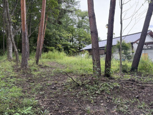 北佐久郡御代田町大字御代田、土地の画像です