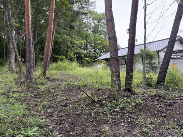 北佐久郡御代田町大字御代田、土地の画像です