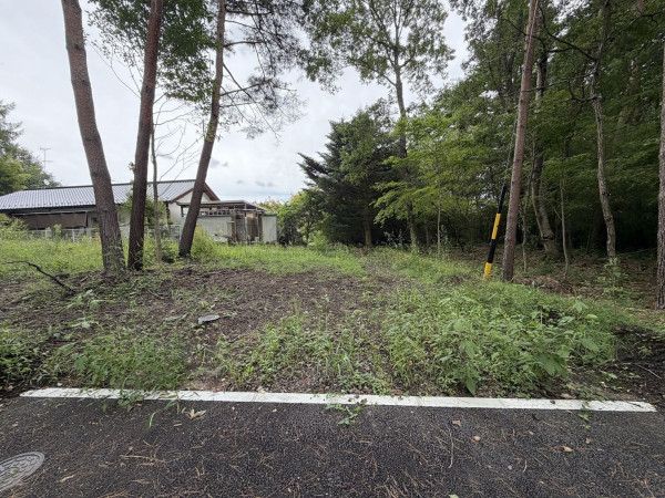 北佐久郡御代田町大字御代田、土地の画像です