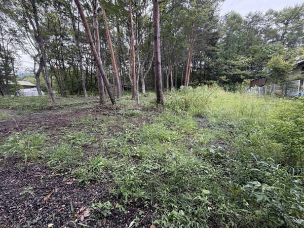 北佐久郡御代田町大字御代田、土地の画像です