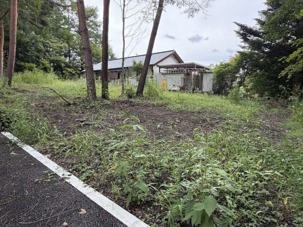 北佐久郡御代田町大字御代田、土地の画像です