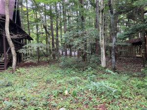 北佐久郡軽井沢町大字長倉、土地の画像です
