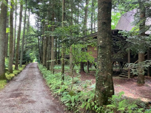 北佐久郡軽井沢町大字長倉、土地の画像です