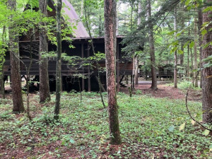 北佐久郡軽井沢町大字長倉、土地の画像です