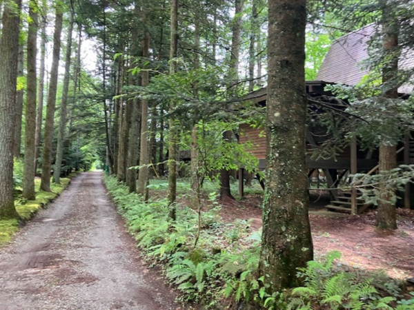 北佐久郡軽井沢町大字長倉、土地の画像です