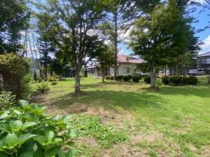 北佐久郡軽井沢町大字長倉、土地の画像です