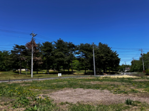 北佐久郡御代田町大字御代田、土地の画像です
