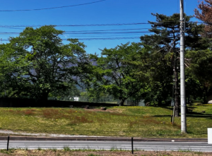 北佐久郡御代田町大字御代田、土地の画像です