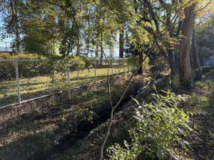 北佐久郡御代田町大字御代田、土地の画像です