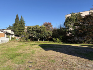 北佐久郡御代田町大字御代田、土地の画像です