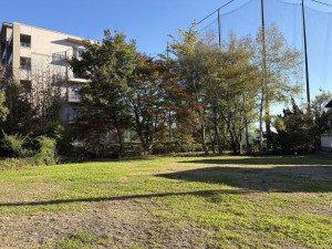 北佐久郡御代田町大字御代田、土地の画像です