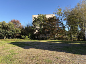 北佐久郡御代田町大字御代田、土地の画像です