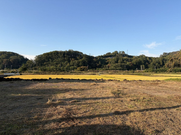 佐久市平賀、土地の画像です