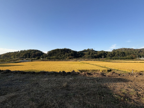 佐久市平賀、土地の画像です