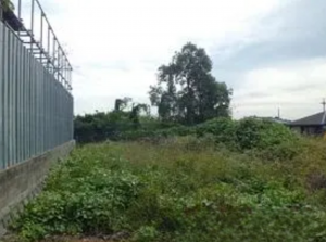 大津市木の岡町、土地の画像です