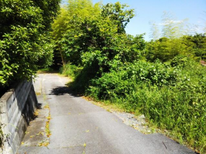 大津市坂本、土地の画像です