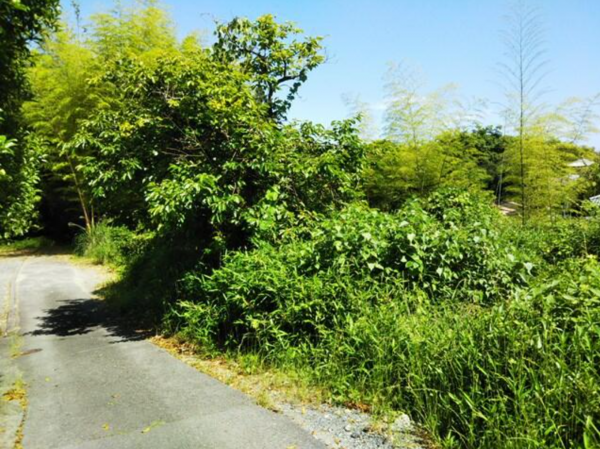 大津市坂本、土地の画像です