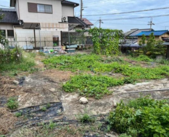 大津市苗鹿、土地の画像です